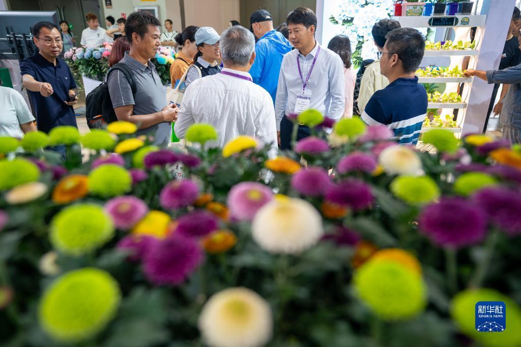 欢乐棋牌38元